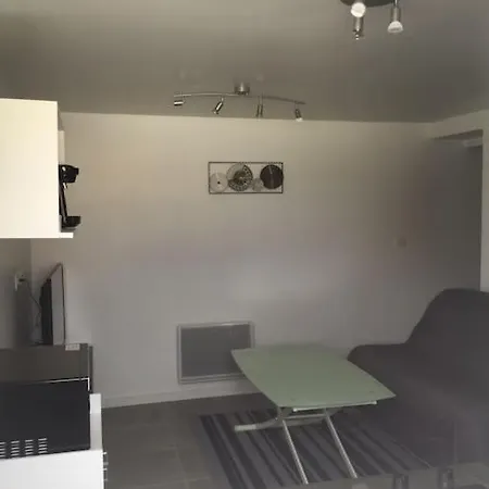 Pres De L Aeroport Cdg Et Disneyland Appartement